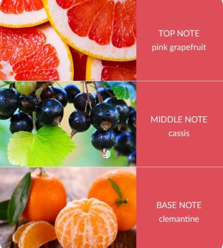 pink-greapfruit-medium-1.jpg